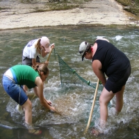 Three students collecting hellbender salamander in Green River